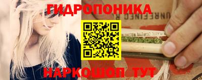 СК Донской