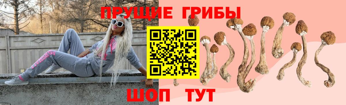 Галлюциногенные грибы прущие грибы Мценск